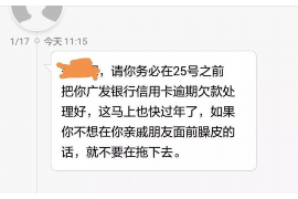 图木舒克为什么选择专业追讨公司来处理您的债务纠纷？